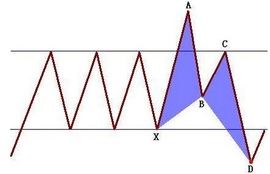 蝴蝶形态-形态所处的位置更重要