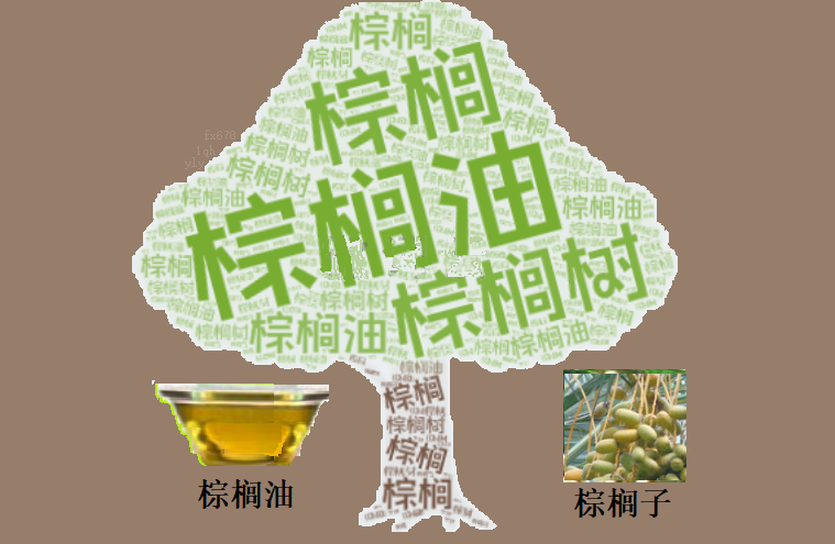 棕榈油空头回补引爆反弹，4500点决战就在眼前